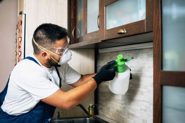 Reliable Spring Arbor, MI Pest Control Solutions