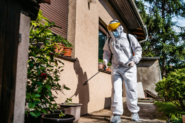 Best Pest Control Near Me  in Spring Arbor, MI