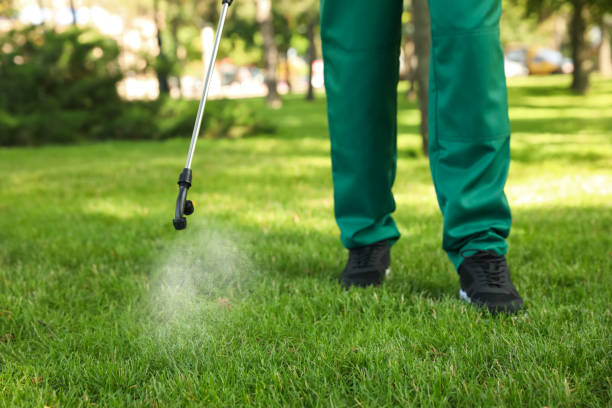 Best Wasp Removal Services  in Spring Arbor, MI