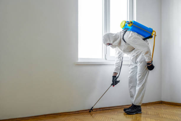 Best Flea Control Services  in Spring Arbor, MI