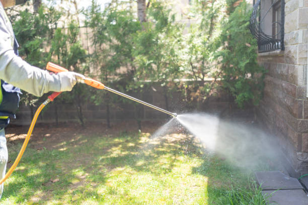 Best Mosquito Control Services  in Spring Arbor, MI