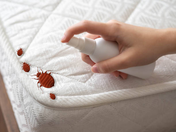  Spring Arbor, MI Pest Control Pros