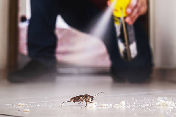 Best Commercial Pest Control Services  in Spring Arbor, MI