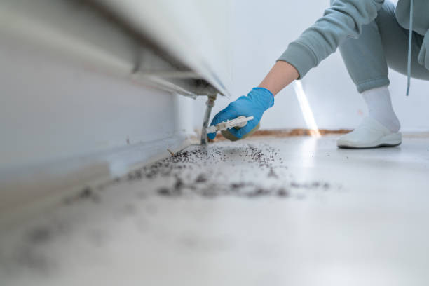 Spring Arbor, MI Pest Control Pros
