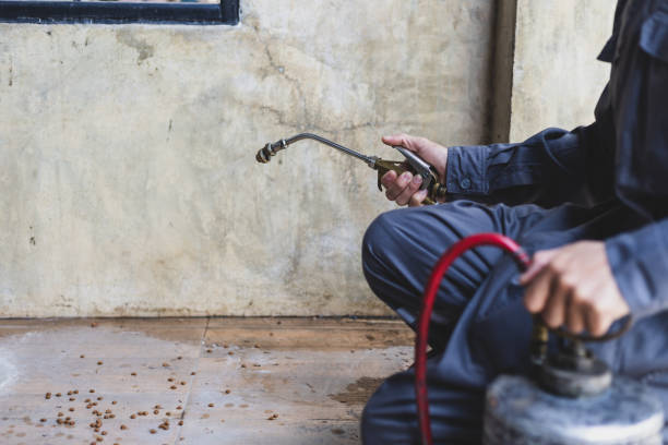 Best Termite Control Services  in Spring Arbor, MI