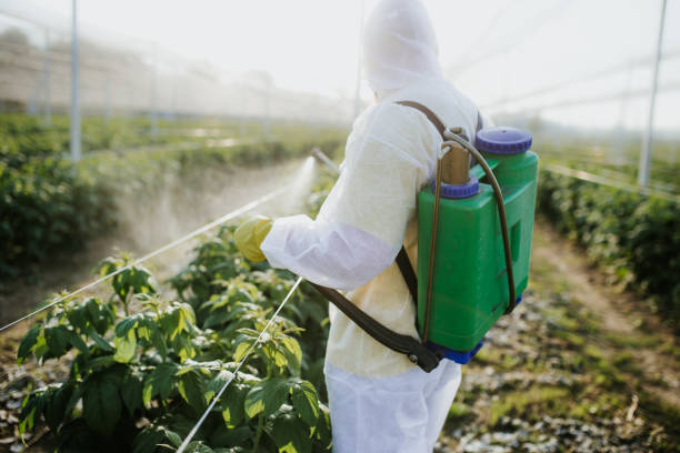 Best Bed Bug Extermination  in Spring Arbor, MI